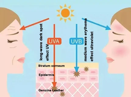 Anti-UV Anti-UV