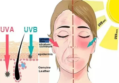 aloe vera freeze-dried powder sunscreen aloe vera freeze-dried powder sunscreen