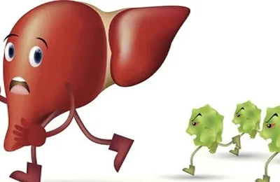 achyranthes bidentata extract powder protects the liver achyranthes bidentata extract powder protects the liver