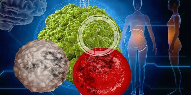 achyranthes bidentata extract powder antiviral achyranthes bidentata extract powder antiviral