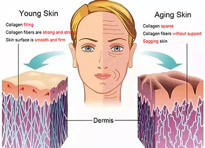phenethyl resorcinol powder Anti-Aging