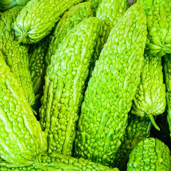Bitter Melon Extract Bitter Melon Extract
